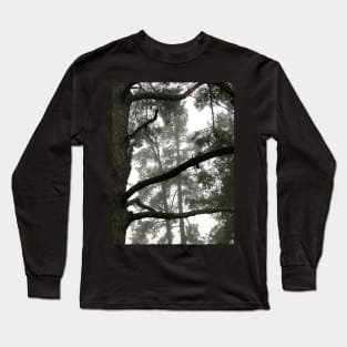 Foggy Woods - Grey Morning Fog in a Redwood Forest - Black and White Trees Long Sleeve T-Shirt